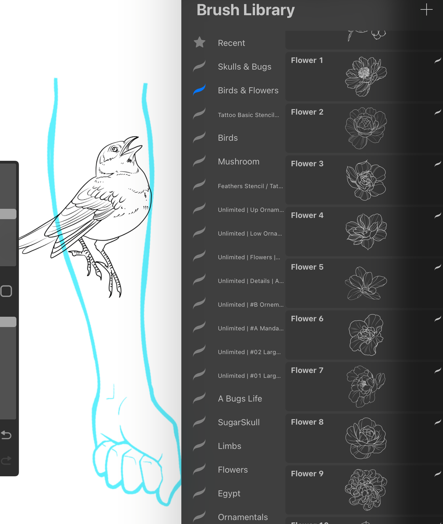 Birds and Flowers - PROCREATE BRUSH SET for iPad